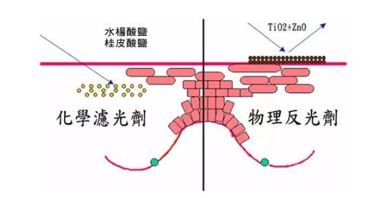 物理防晒需要卸妆吗？物理防晒和化学防晒的区别(婚礼时光化妆)