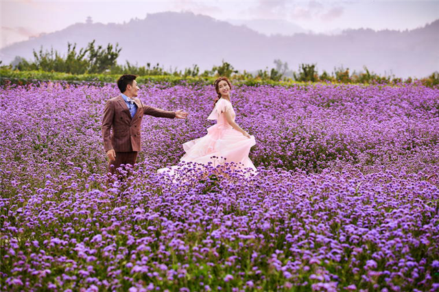 花海拍婚纱照选什么婚纱(拍婚纱照婚纱照风格)