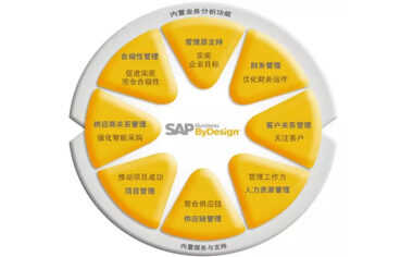 SAP云ERPT租用，SAP Business ByDesign，帮助成长型企业练就“硬功夫” 第2张