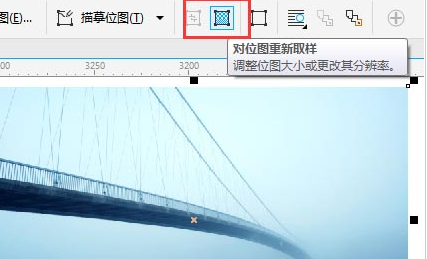 CorelDraw X4调整分辨率的具体方法介绍 第3张