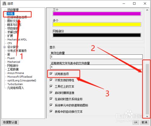 ansys fluent如何调整为中文版? 第2张