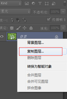 Adobe Photoshop CS6为草地打造亮丽颜色的详细操作 第5张