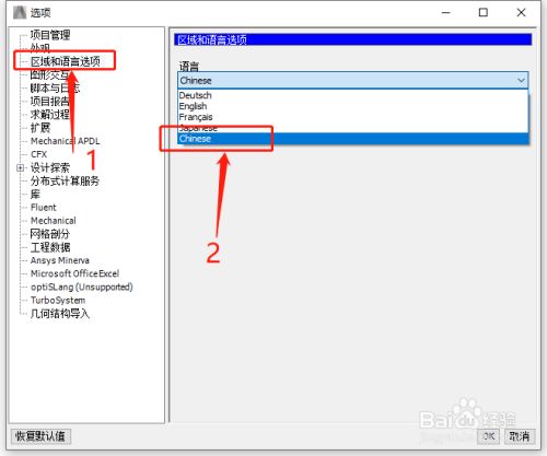 ansys fluent如何调整为中文版? 第3张