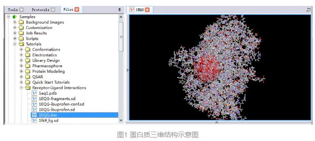 Discovery Studio官方教程-使用CDOCKER进行半柔性分子对接 第2张