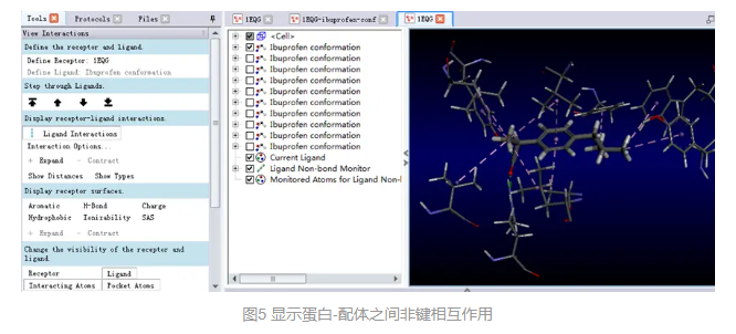 Discovery Studio官方教程-使用CDOCKER进行半柔性分子对接 第6张