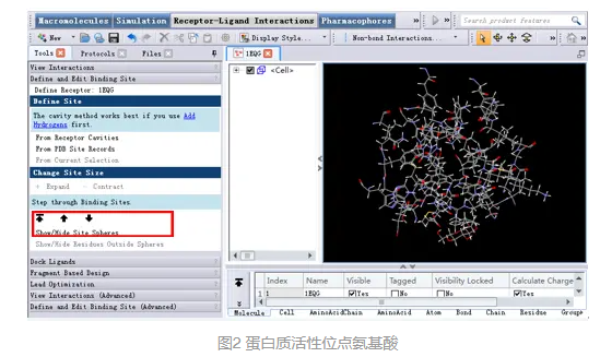 Discovery Studio官方教程-使用CDOCKER进行半柔性分子对接 第3张