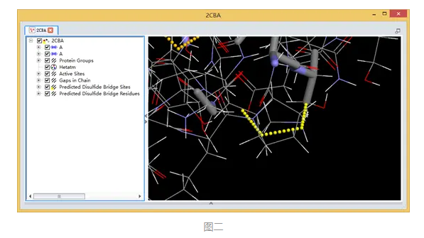 Discovery Studio官方教程-预测突变形成二硫键改造蛋白质 第3张
