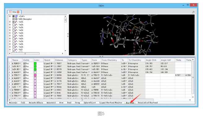 Discovery Studio官方教程-使用LibDock进行快速分子对接（虚拟筛选） 第8张