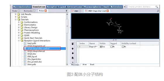 Discovery Studio官方教程-使用CDOCKER进行半柔性分子对接 第4张