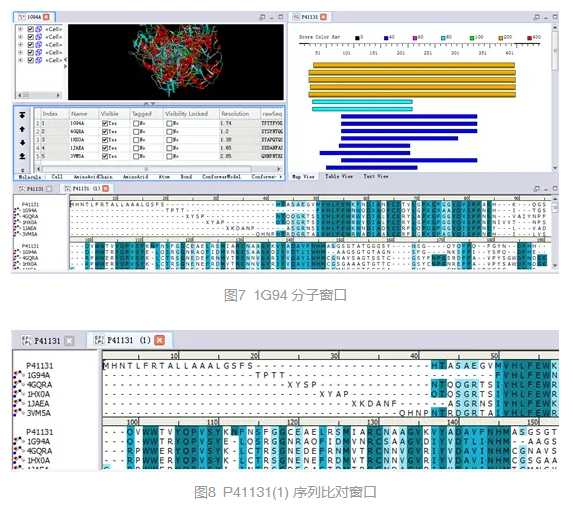 Discovery Studio官方教程-基于MODELER构建蛋白酶模型 第8张
