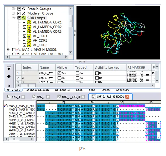 Discovery Studio官方教程-基于MODELER构建抗体模型 第11张